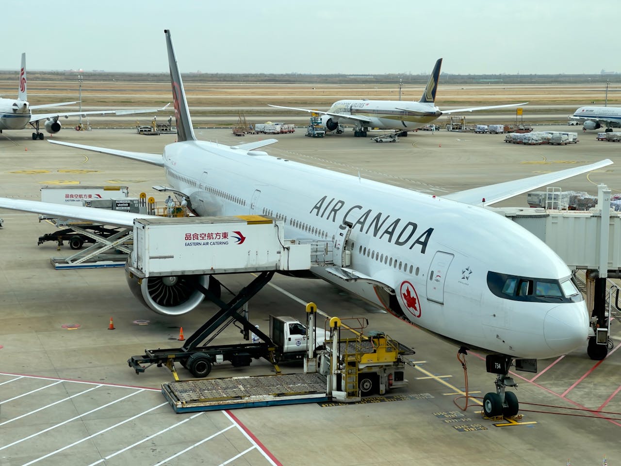 International repatriation of human remains